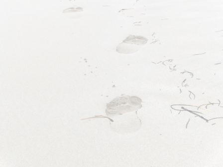 Voet in de strand